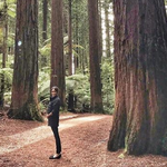 Meghan Markle is Showing and Her Husband Took A Great Photo of It